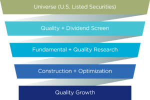 quality growth investment process