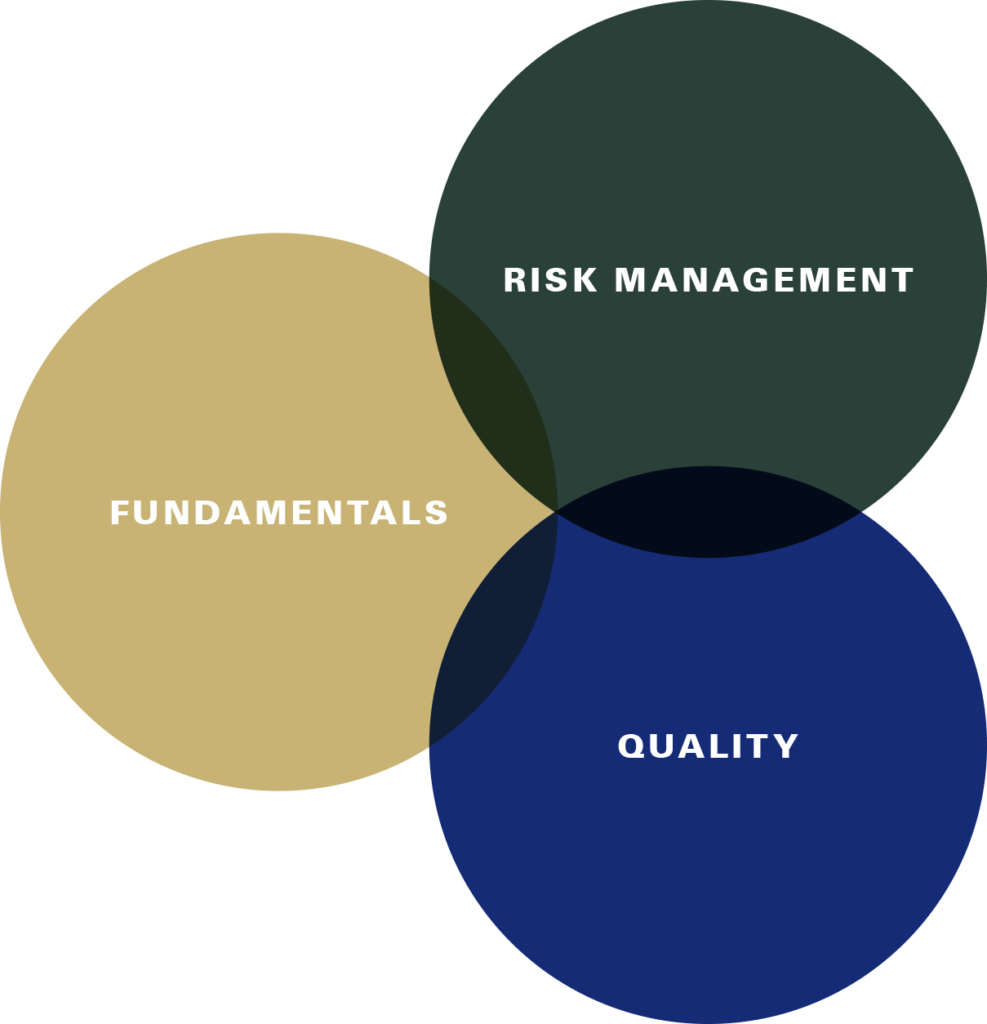 Three overlapping circles: Risk management, Fundamentals and Quality. 