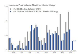 Haverford Trust Bar Chart - "Consumer Price Inflation Month on Month Change" - This chart displays the rates of Headline Inflation CPI-U and Core Inflation CPI-U, Excl. Food And Energy between October 2020 and July 2022.