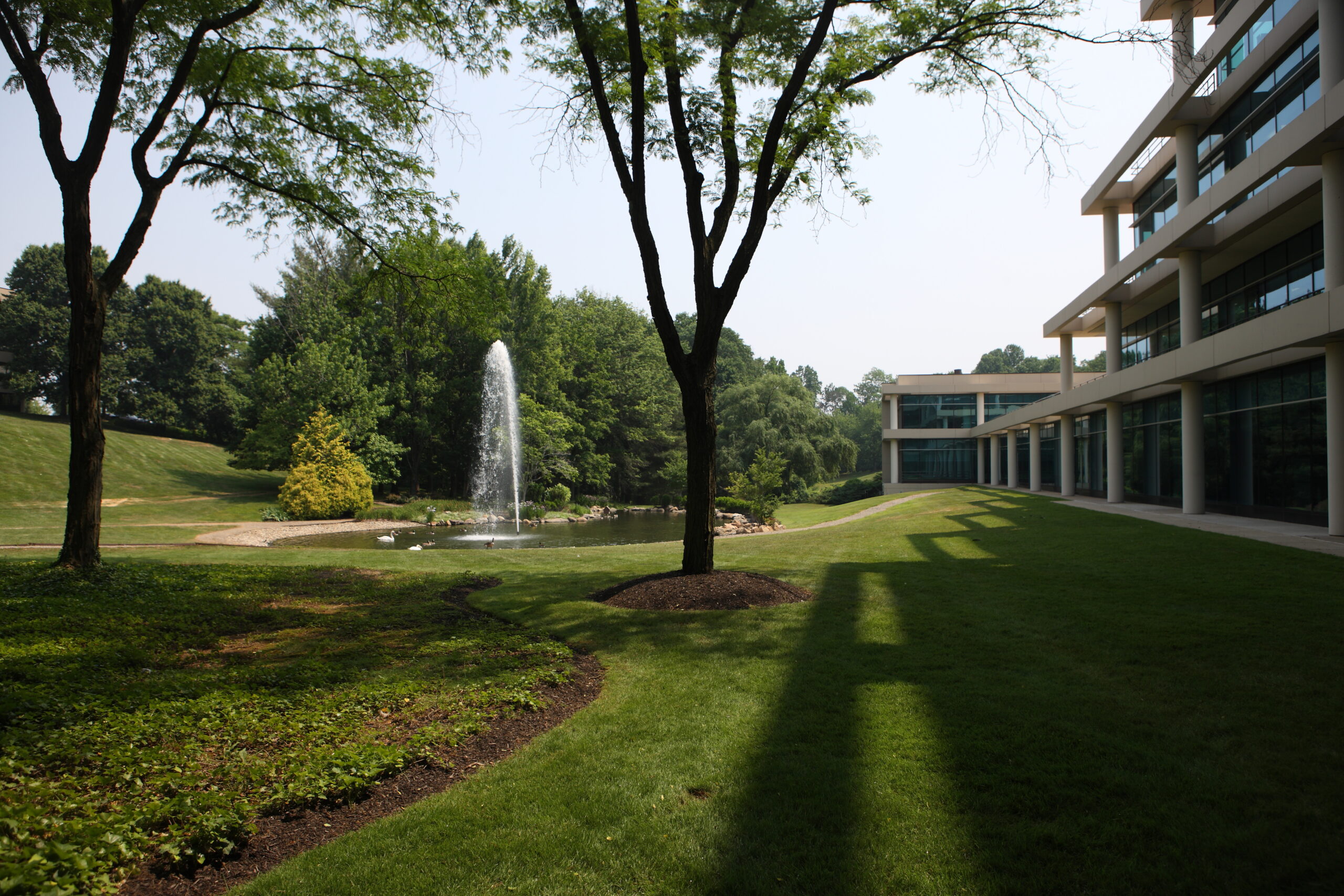 Radnor Campus